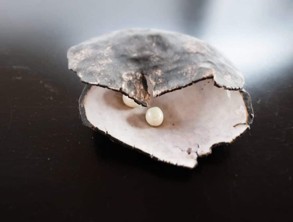 Kognitiv terapi-Metakognitiv terapi-Skjematerapi-ACT